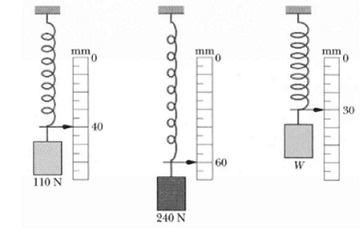 668_weight W of the thirdpackage.jpg